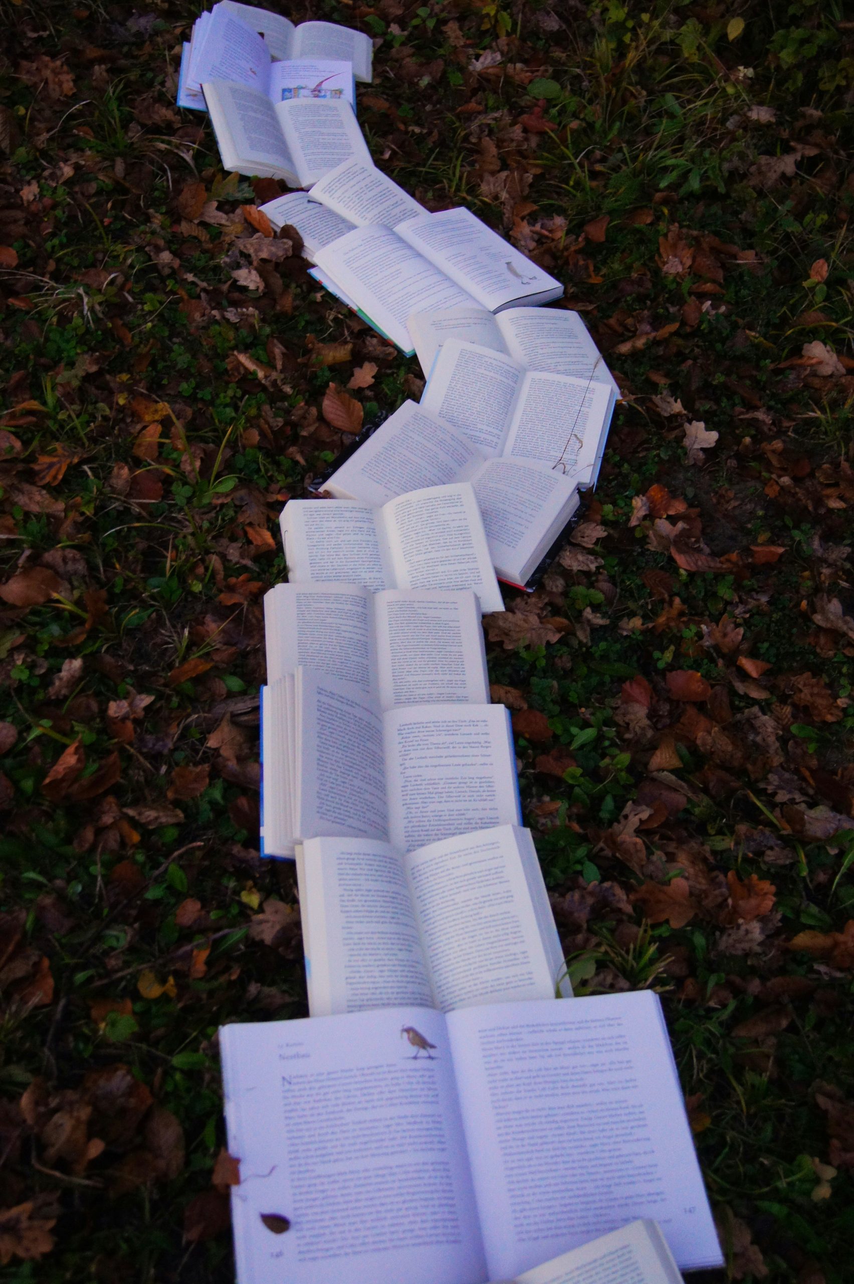 Books are laid out on the wrong on top of early fall foliage like a winding trail.
